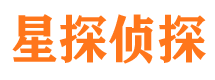 桑日侦探